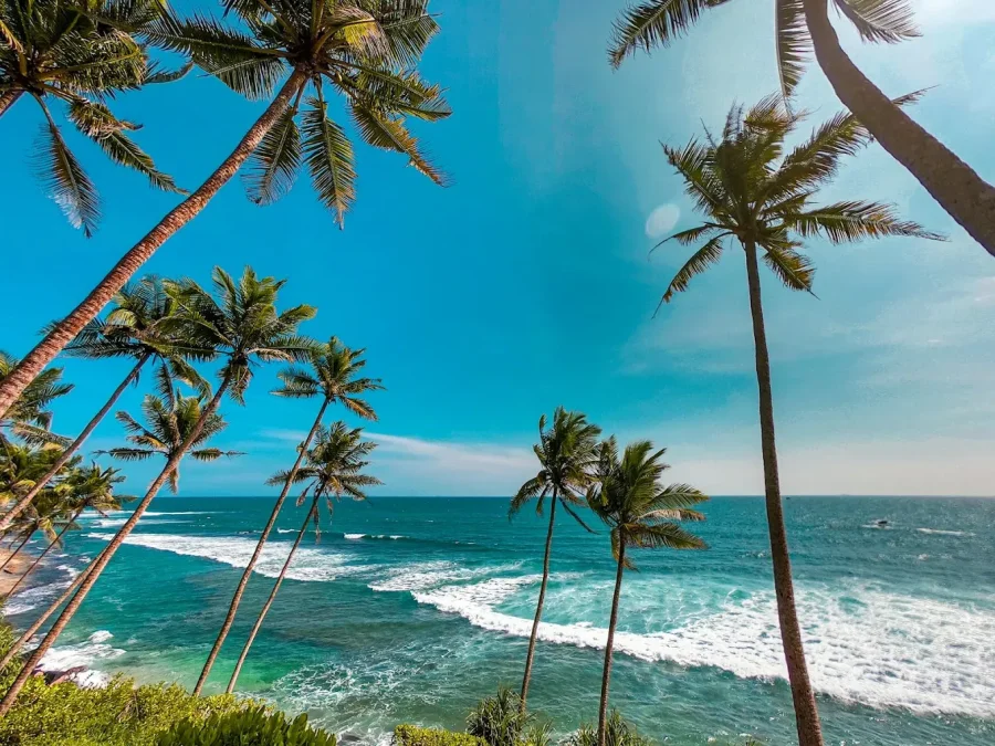 Sri Lanka luxury